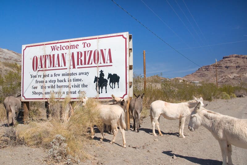 Wild Burros invite you to Oatman, Arizona along historic Route 66. Wild Burros invite you to Oatman, Arizona along historic Route 66