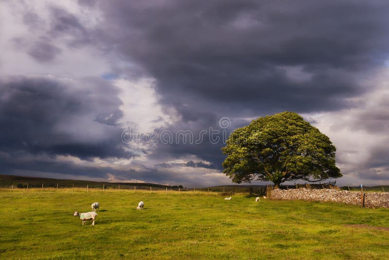 Burz chmury nad Yorkshire paśnikiem blisko Wharfedale obraz royalty free Burz chmury nad Yorkshire paśnikiem blisko Wharfedale obraz royalty free