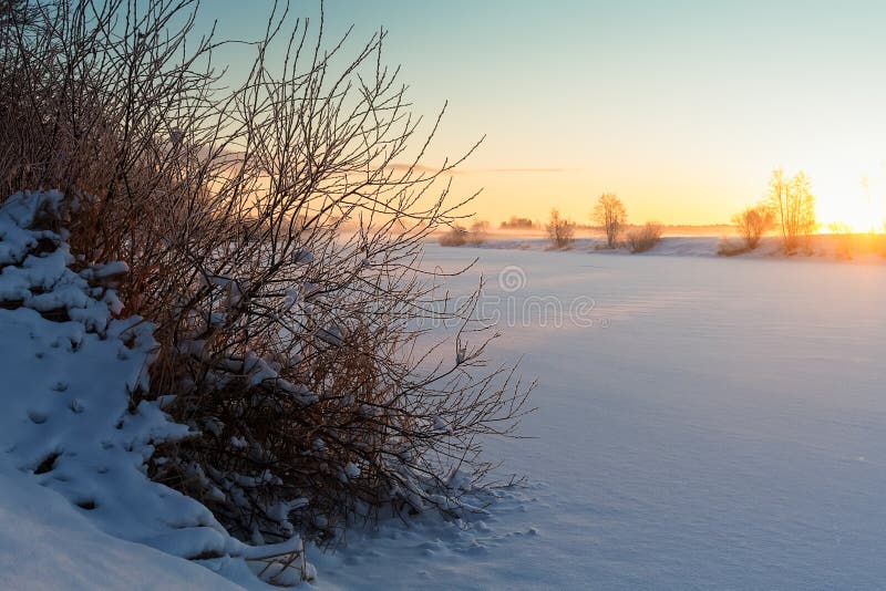 Frozen Bush By The River. A bush is covered with snow and frost by a river at the Northern Finland. The morning sun warms up the snow and the mist rises from the royalty free stock images Frozen Bush By The River. A bush is covered with snow and frost by a river at the Northern Finland. The morning sun warms up the snow and the mist rises from the royalty free stock images