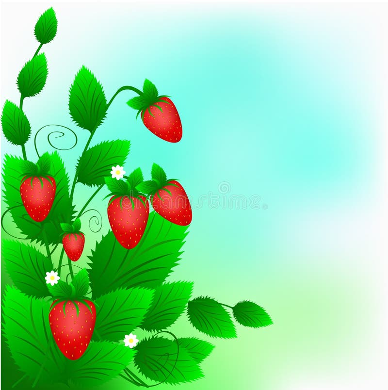Bush d'une fraise rouge mûre illustration stock Bush d'une fraise rouge mûre illustration stock