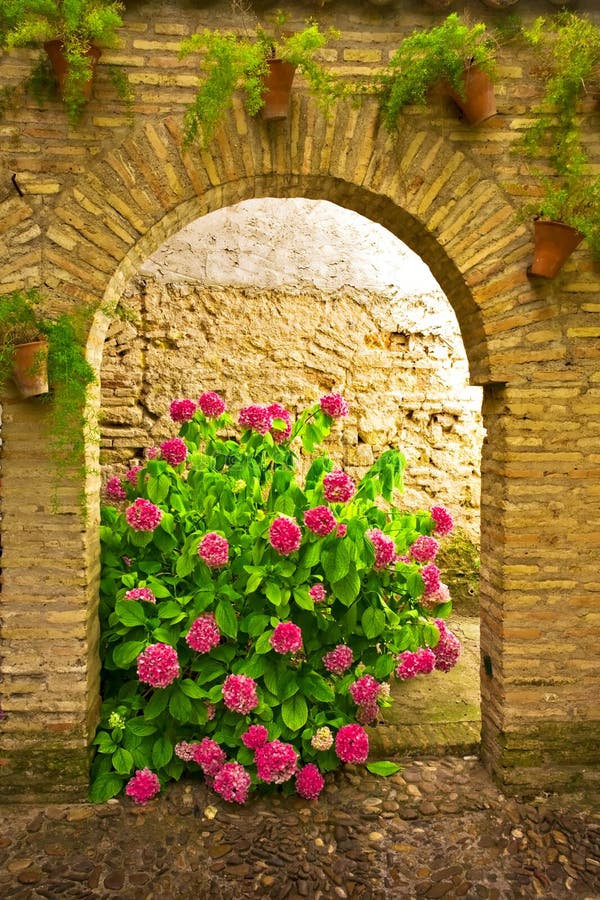 Bush with flowers stock image. Image of pretty, garden 13066963