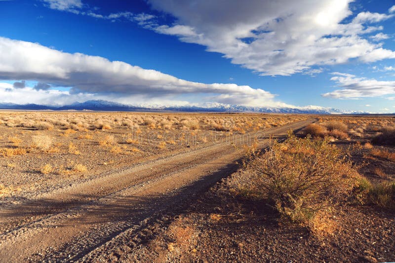 Bush road stock image. Image of road, trees, green, jungle 5043775