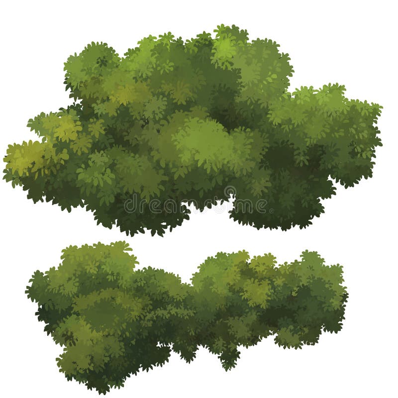 Bush stock illustration. Illustration of tree, garden - 70403449