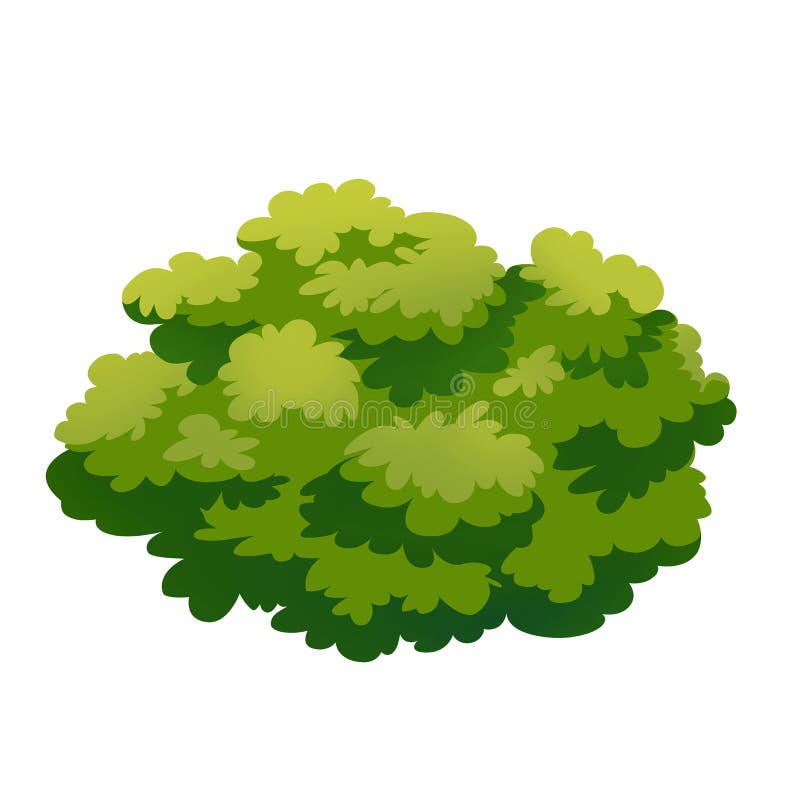 Bush stock illustration. Illustration of shrubbery, hedge - 60721544
