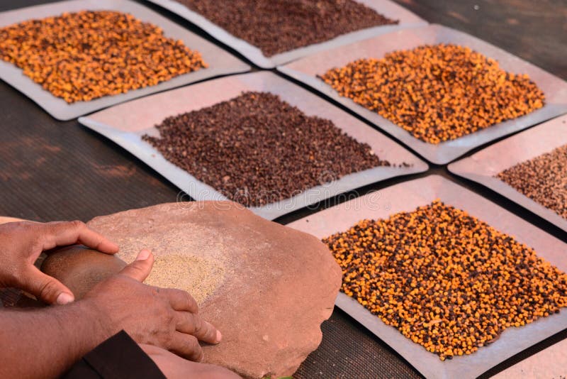 Bush tucker seeds. Northern Territory. Australia