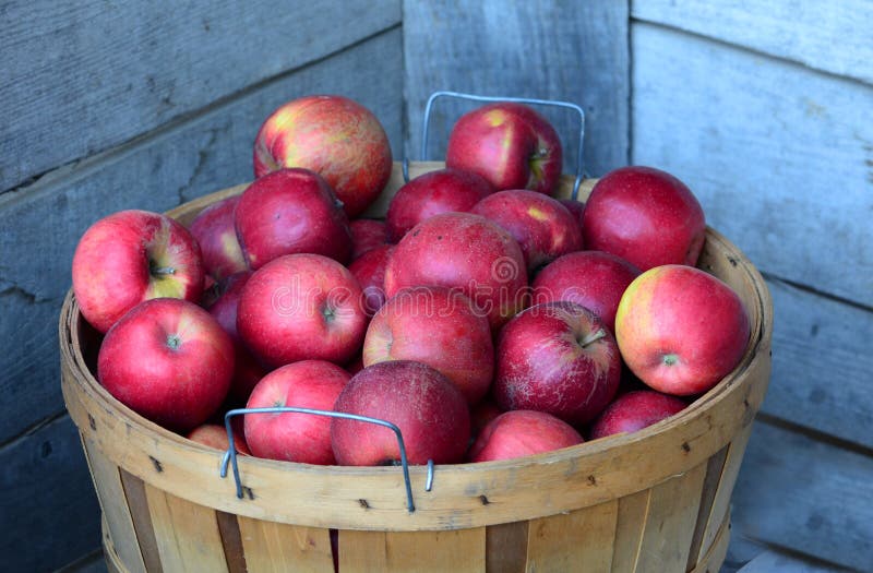 Bushel appelen van Michigan stock afbeelding Bushel appelen van Michigan stock afbeelding