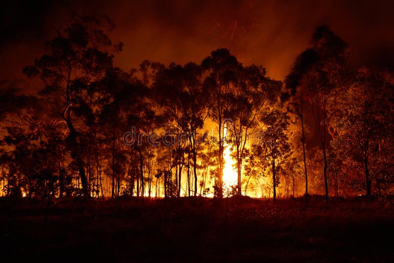 Bushfire raging in Arnhemland, Australia. Bushfire raging in Arnhemland, Australia