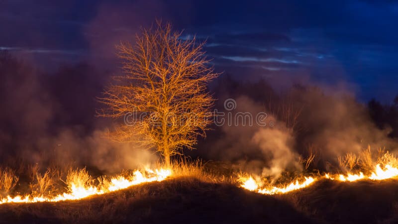 Large bright fire of bushfire at night. Large bright fire of bushfire at night