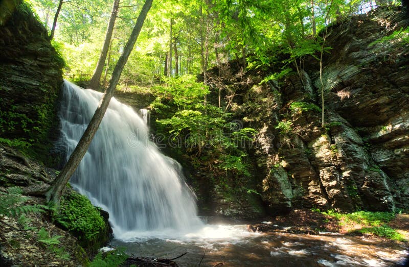 Bushkill Falls royalty free stock photo