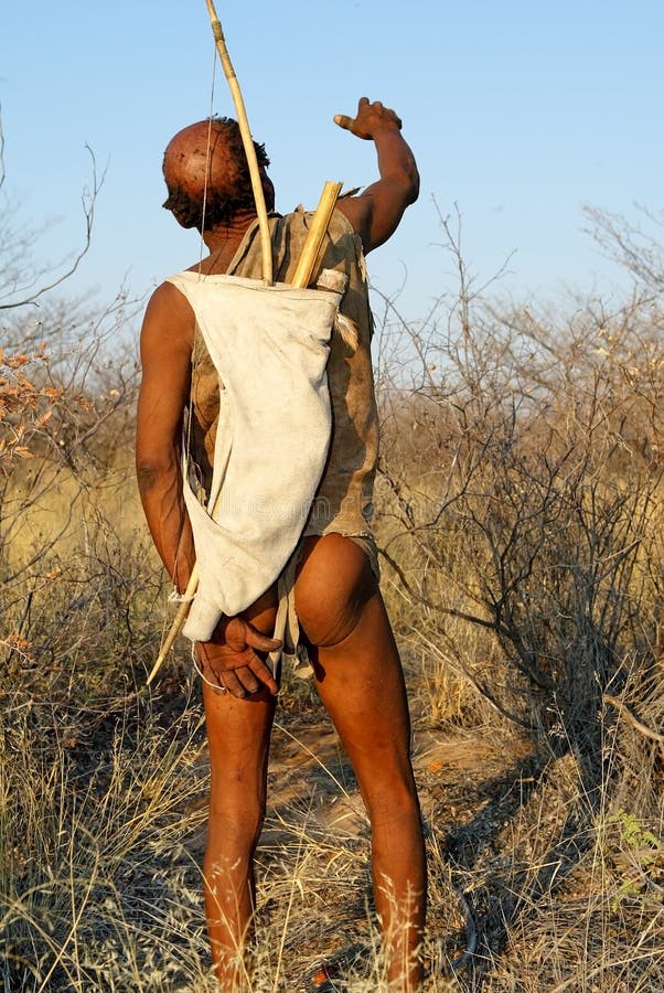 Bushman royalty free stock photo Bushman royalty free stock photo