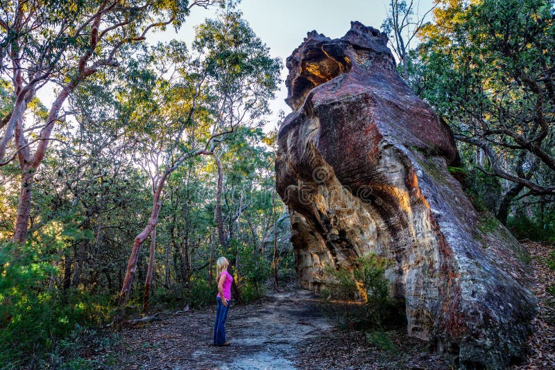 Bushwalker que explora el desierto del parque nacional fotografía de archivo Bushwalker que explora el desierto del parque nacional fotografía de archivo