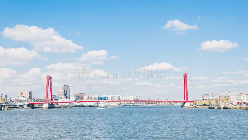 Business buildings and bridge in Rotterdam