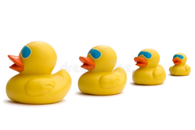 Business sayings, get our ducks in a row