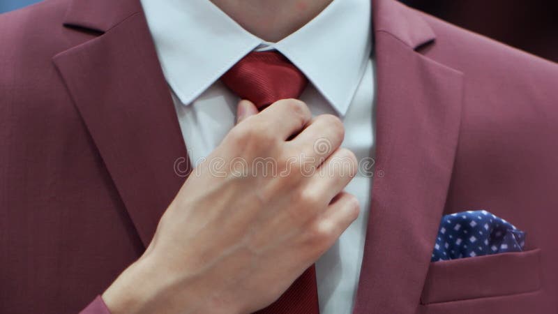 Businessman Adjust Necktie his Suit.