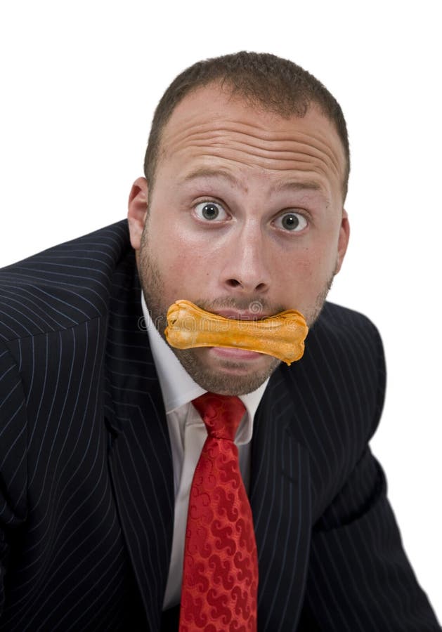 Businessman With Dog Biscuit Stock Photo Image of corporate, handsome