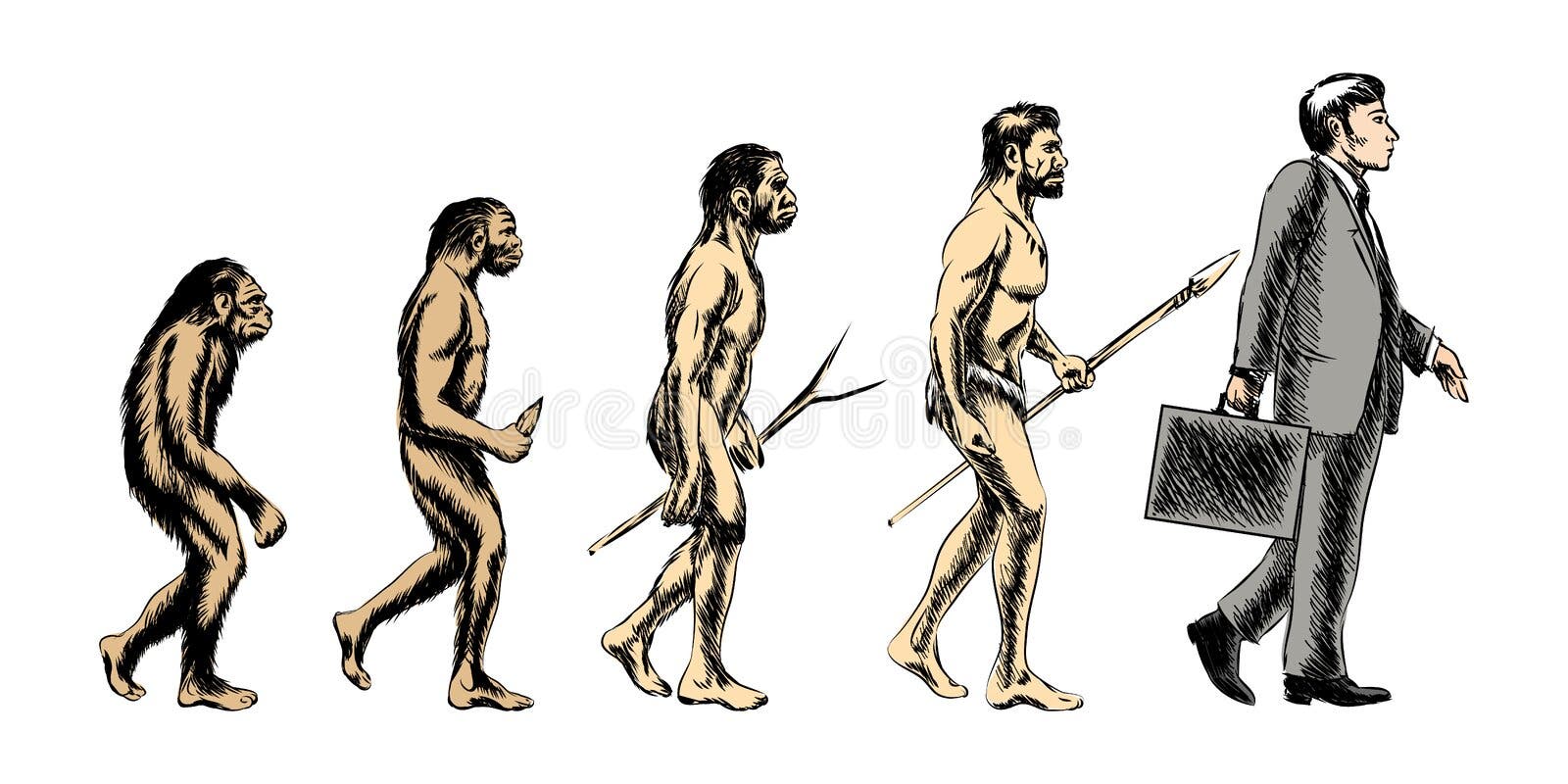 Human Evolution Illustration Stock Vector - Illustration of body ...