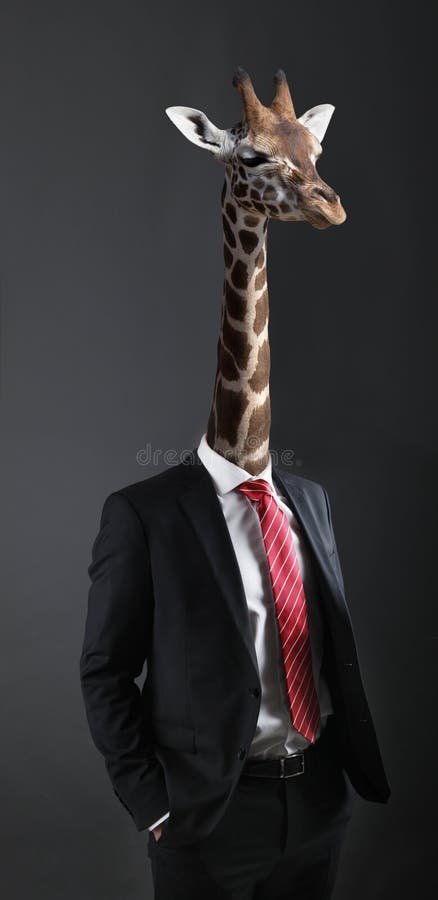 Beer Giraffe Stock Photos - Free & Royalty-Free Stock Photos from Dreamstime