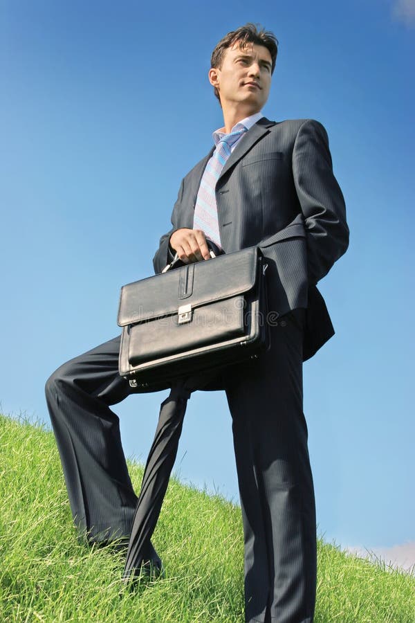 Businessman at the meadow royalty free stock photography