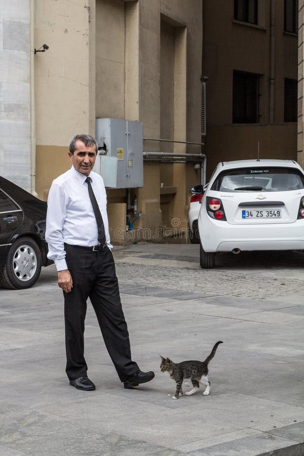 Businessman posing next to a young strat cat in the streets of Istanbul. Cats are a symbol of the biggest city of Turkey royalty free stock image Businessman posing next to a young strat cat in the streets of Istanbul. Cats are a symbol of the biggest city of Turkey royalty free stock image