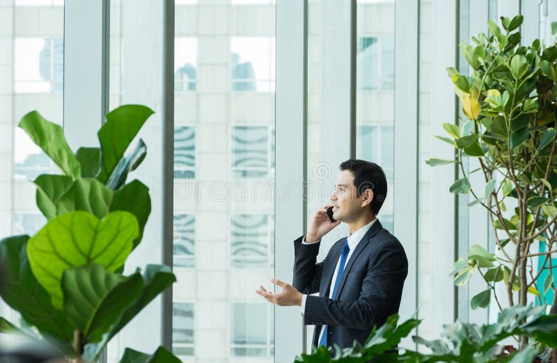 Businessman using mobile phone near office window at receptions stock images Businessman using mobile phone near office window at receptions stock images