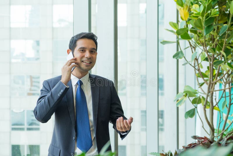 Businessman using mobile phone near office window at receptions stock image Businessman using mobile phone near office window at receptions stock image