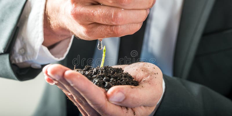 Businessman watering a sprouting seedling royalty free stock images Businessman watering a sprouting seedling royalty free stock images