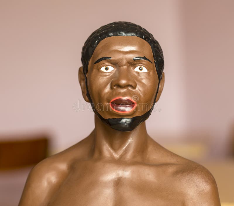bust of an African to study at school and college in in the study of biology. Petropavlovsk-Kanchatsky royalty free stock images bust of an African to study at school and college in in the study of biology. Petropavlovsk-Kanchatsky royalty free stock images