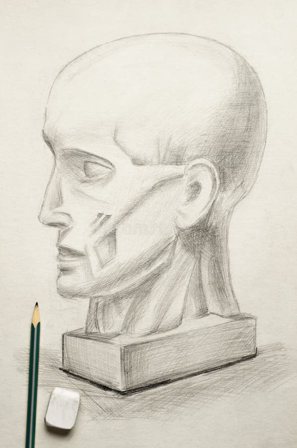 A Bust of a Man Drawn in Pencil. Sketch on Paper Stock Image Image of