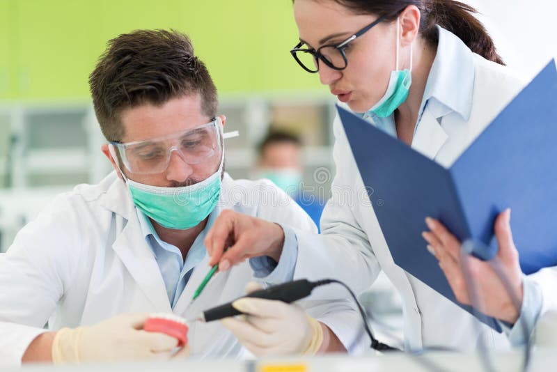 Busy young stomatology students working carefully on anatomical models royalty free stock photos Busy young stomatology students working carefully on anatomical models royalty free stock photos