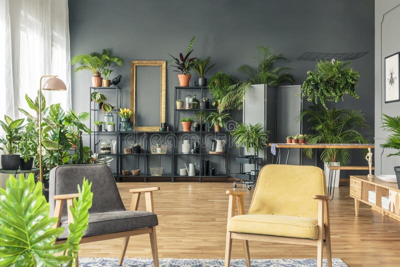 Butaca gris y amarilla en interior espacioso de la sala de estar con p fotografía de archivo Butaca gris y amarilla en interior espacioso de la sala de estar con p fotografía de archivo