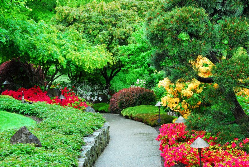 Japonés jardín adentro jardín (a través de 100 anos en el momento de la floración),, británico,.