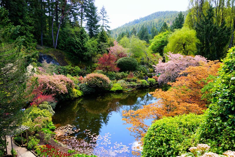 Butchart Gardens, Victoria, Canada. View over a pond in the sunken garden with vibrant spring flowers. Butchart Gardens, Victoria, Canada. View over a pond in the sunken garden with vibrant spring flowers.