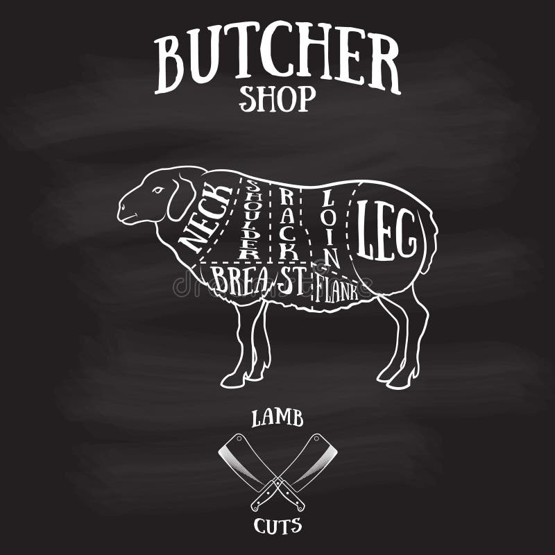 Butcher cuts scheme of lamb or mutton