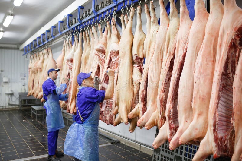 Butcher cutting pork at the meat manufacturing. stock photos Butcher cutting pork at the meat manufacturing. stock photos