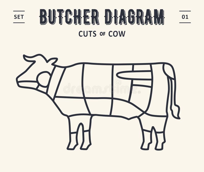 Butcher diagram and scheme - Beef,cow vector illustration Butcher diagram and scheme - Beef,cow vector illustration