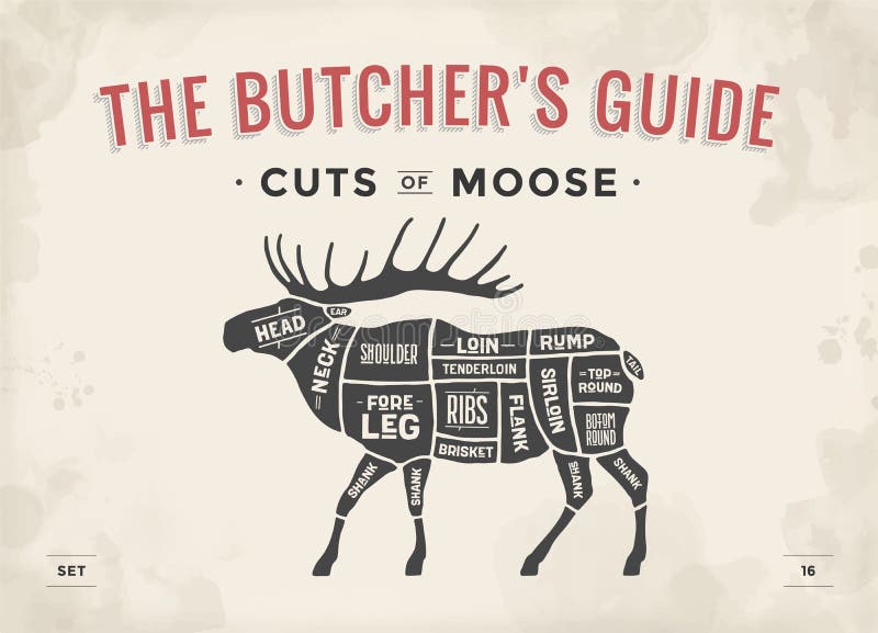 Elk Butcher Chart