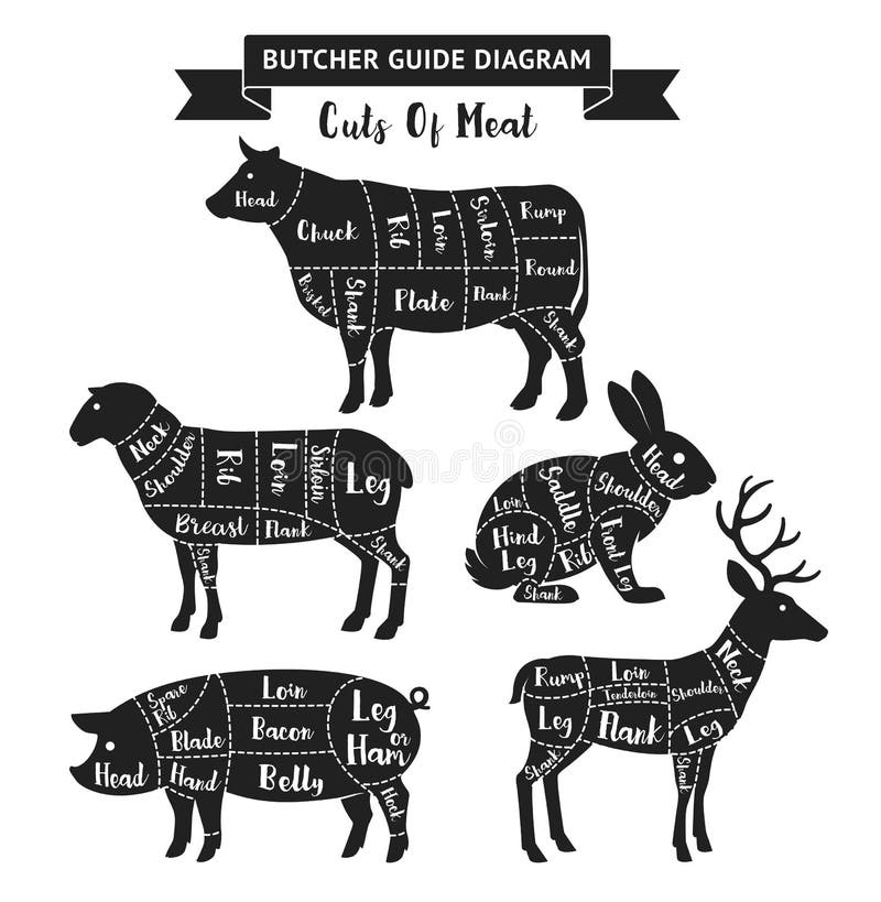 Deer Butcher Chart