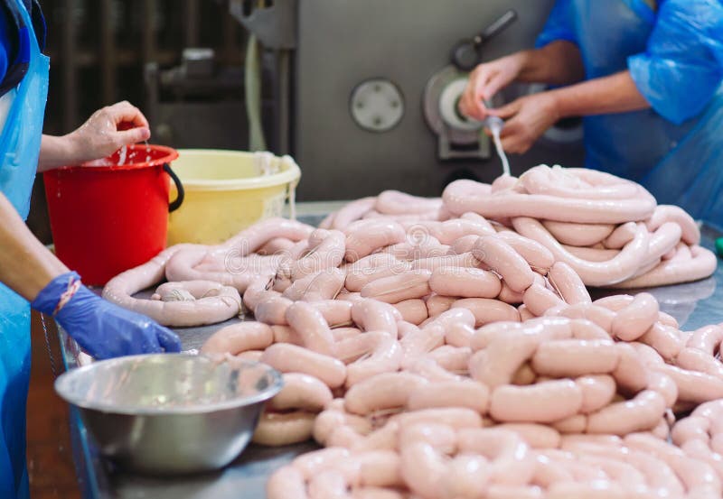 Butchers Processing Sausages at a Meat Factory. Stock Photo Image of
