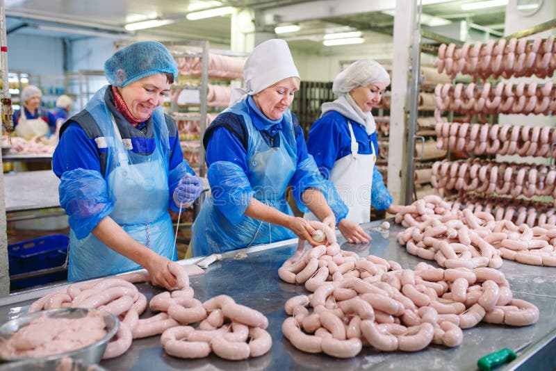 Workers Working in a Chicken Meat Plant Stock Image Image of food, production 154670873