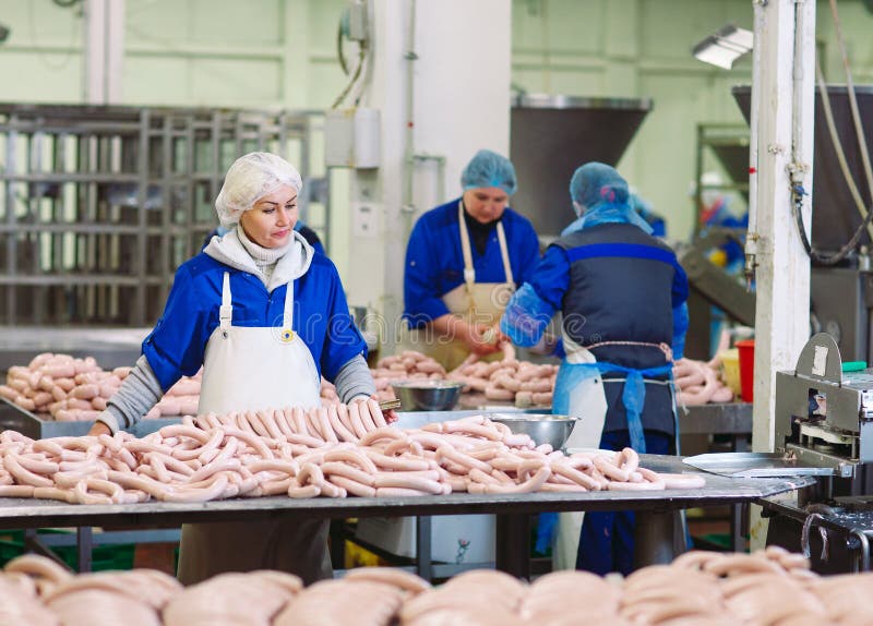 Workers Working in a Chicken Meat Plant Stock Image Image of butcher, bone 154251731