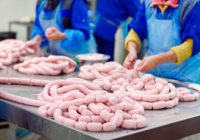 Butchers Processing Sausages at the Meat Factory. Stock Photo Image