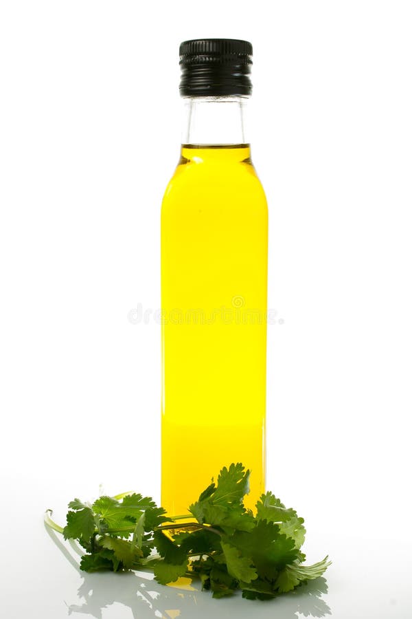 Buteljera av olivolja med cilantro på vitbakgrund fotografering för bildbyråer Buteljera av olivolja med cilantro på vitbakgrund fotografering för bildbyråer