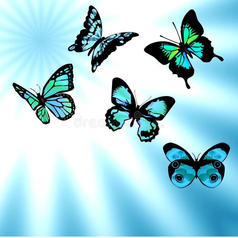 340+ Blue green butterflies Free Stock Photos StockFreeImages