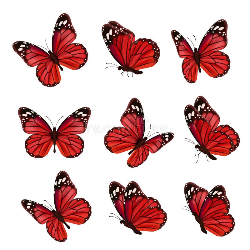 Butterfly Collection. Beautiful Nature Flying Insect Drawing, Black Butterflies with Funny Wings Vector Pictures Stock Vector - Illustration flower: