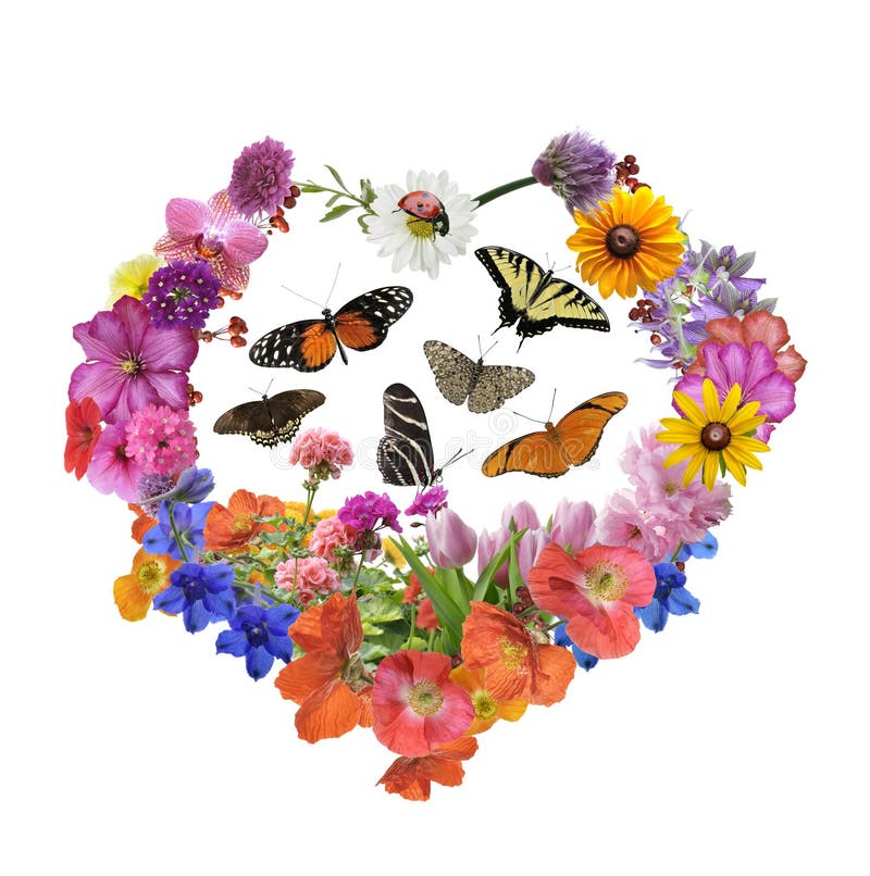 Butterflies And Assorted Flowers In Heart Shape Isolated On White Background. Butterflies And Assorted Flowers In Heart Shape Isolated On White Background