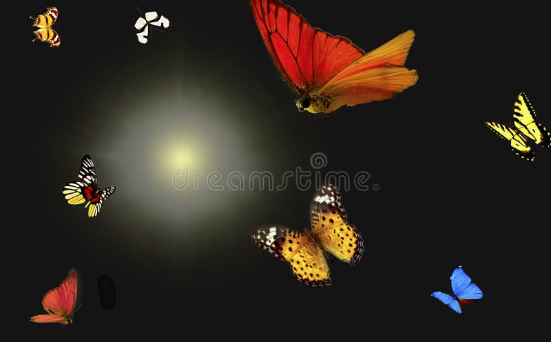 Learn to Fly stock image. Image of darkness, enlight - 52051357