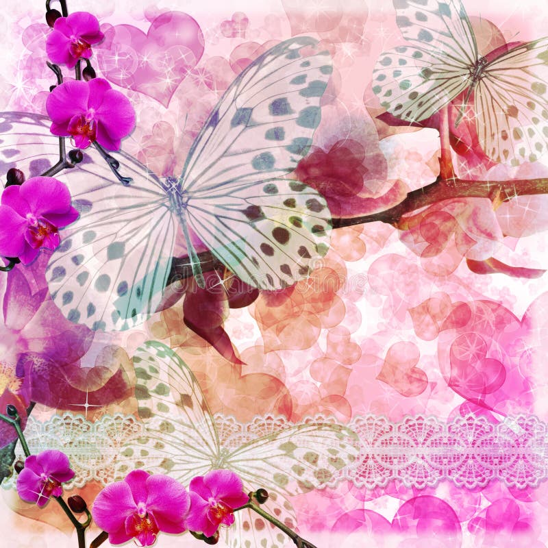 Butterflies and orchids flowers pink background ( 1 of set)