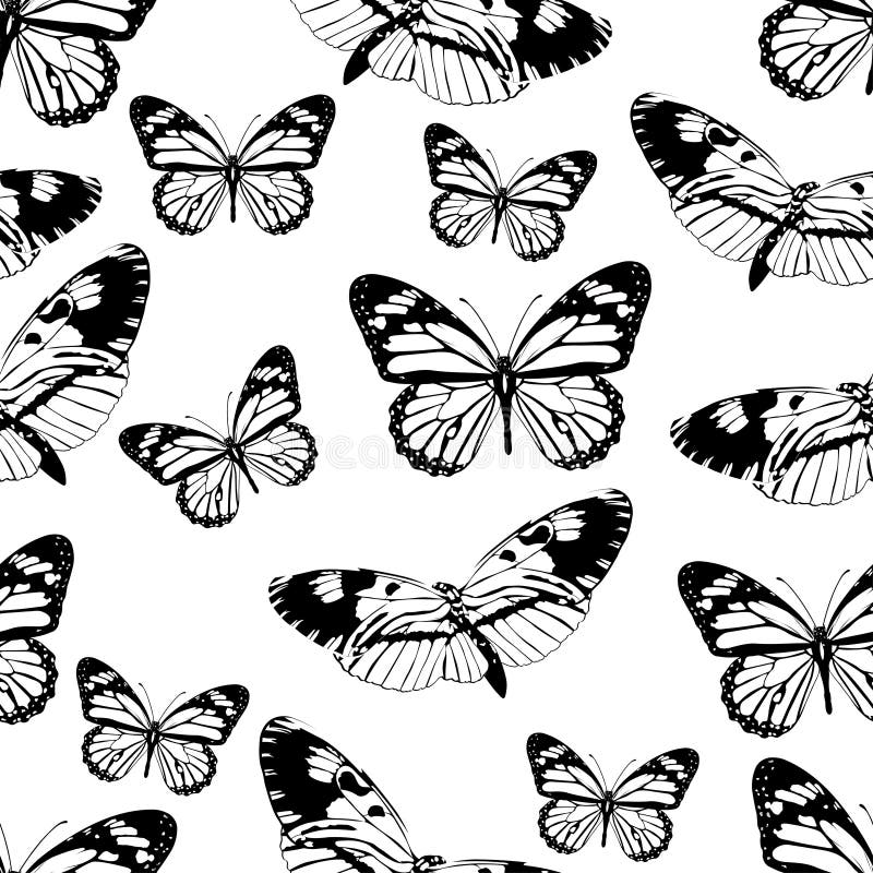 Butterflies Black White Coloring Stock Illustrations 1,513
