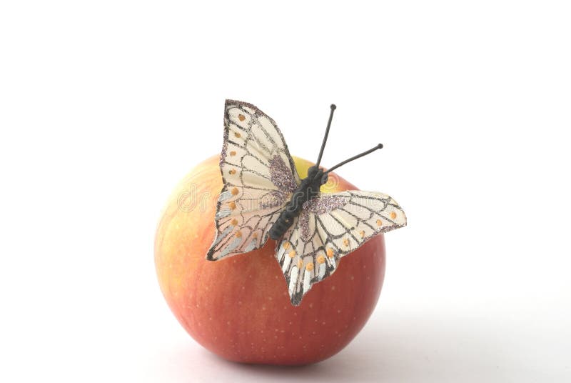 Butterfly on the apple stock photo. Image of butterfly 7276572