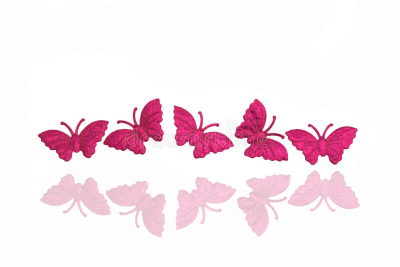 Pink isolated butterflies on white background with reflection. Pink isolated butterflies on white background with reflection